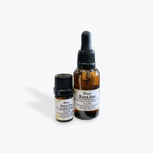 Rose Damascus White. Essential Oil. Wildcrafted