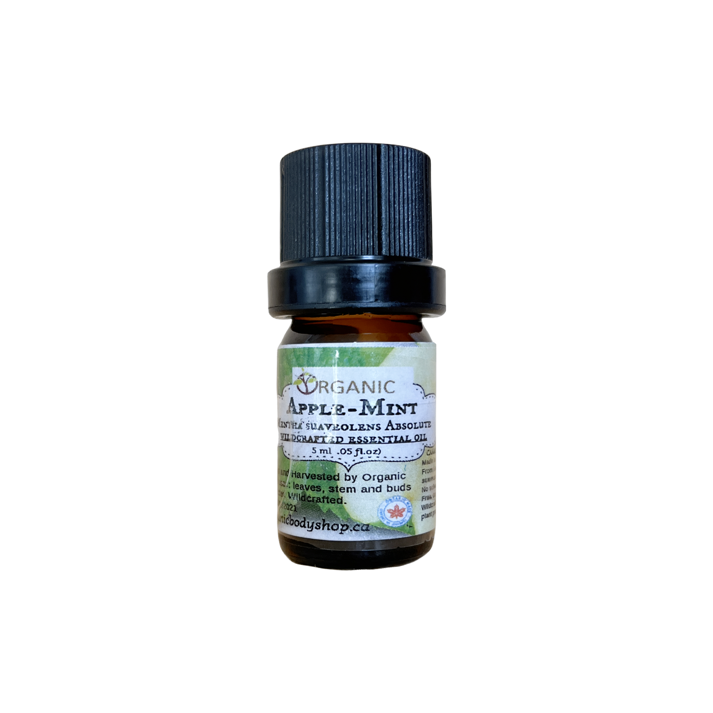 Apple Mint Essential Oil. Wild Crafted.Ontario