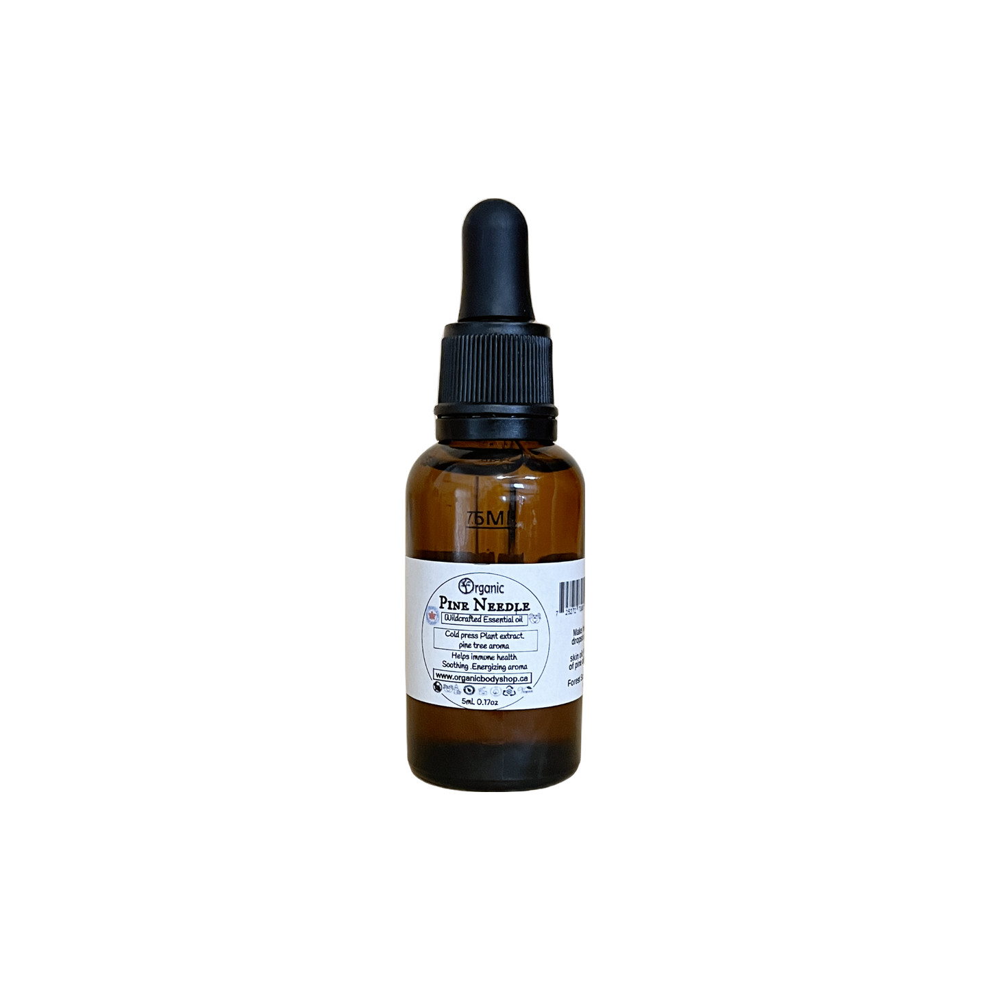 Pine Needle Essential Oil. Wildcrafted.30ml