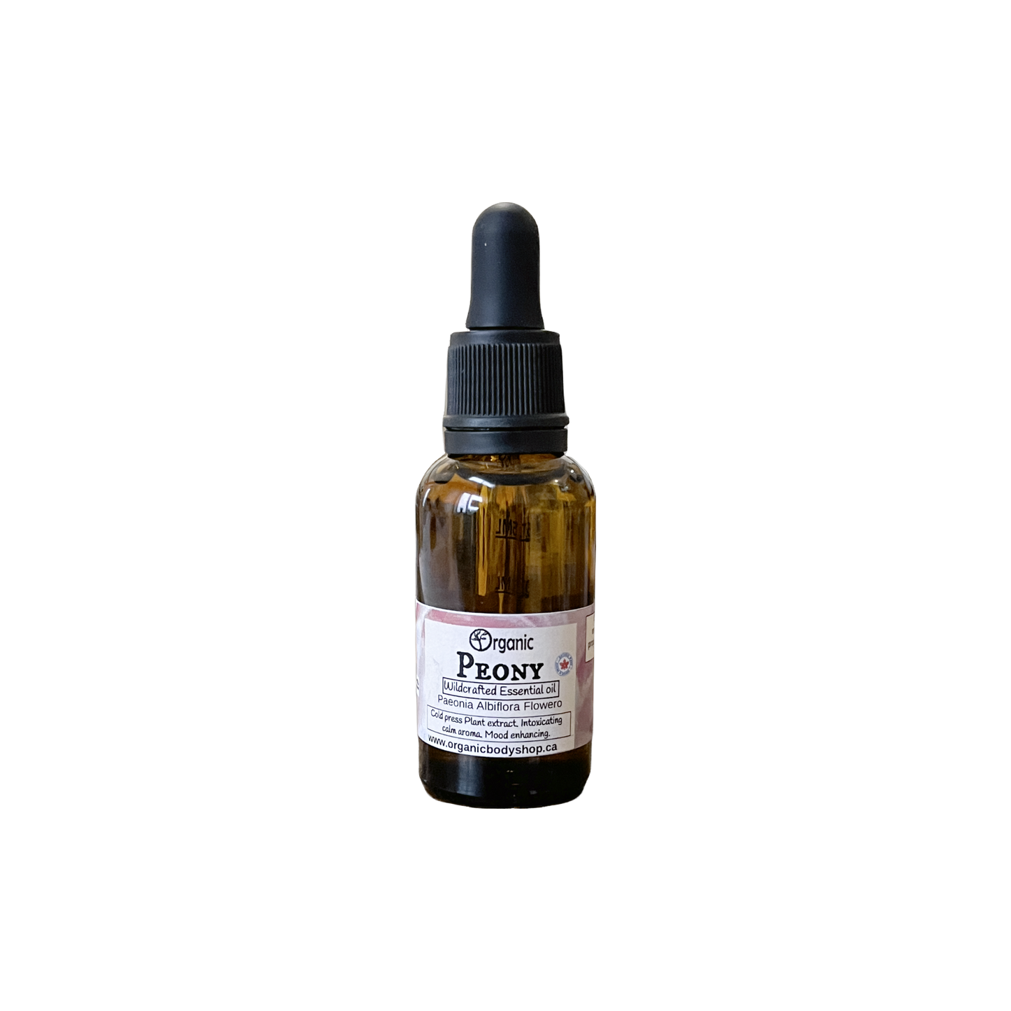 Peony Essential oil. Wildcrafted. Ontario 1 oz.