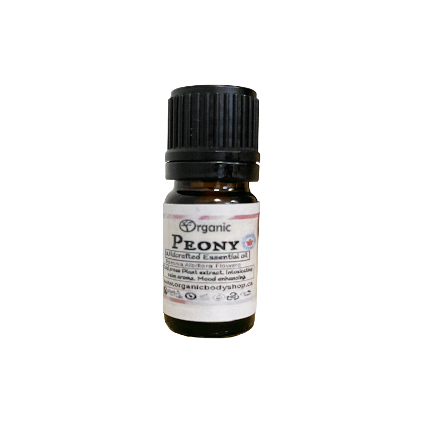 Peony Essential oil. Wildcrafted.Ontario