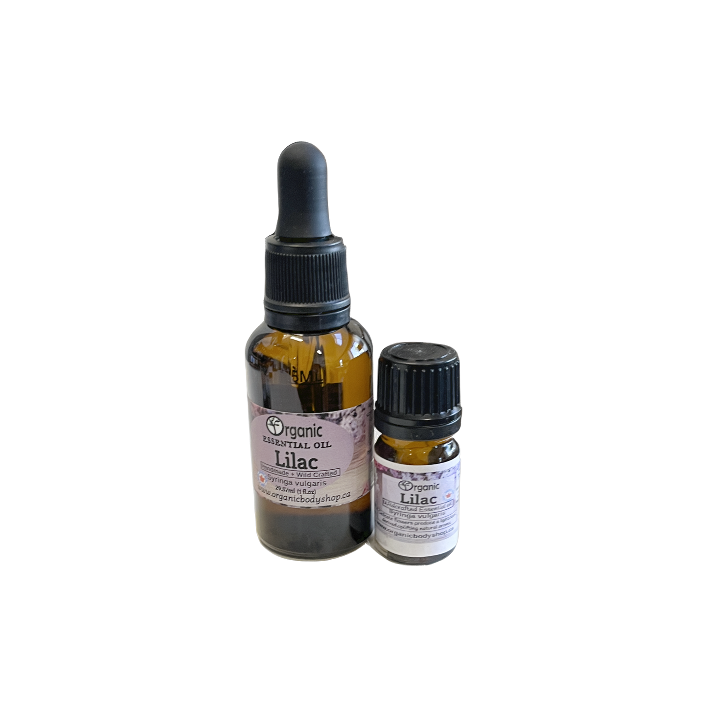 Lilac Essential Oil-Wildcrafted. 5ml