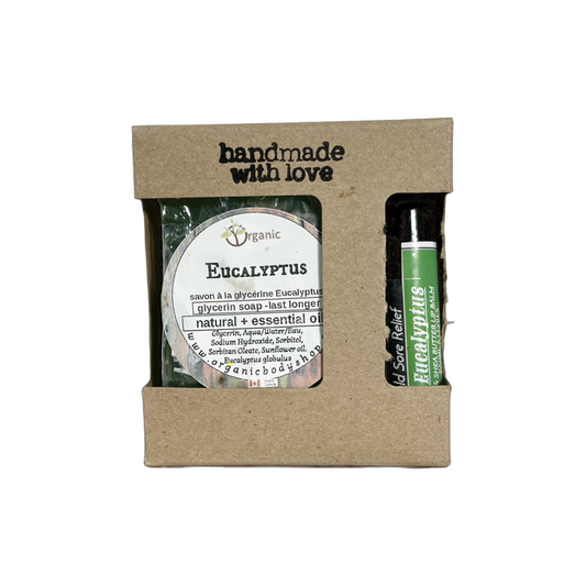 Baume à lèvres à la cire d'abeille + barre de savon à la glycérine. Cadeau à l'argousier
