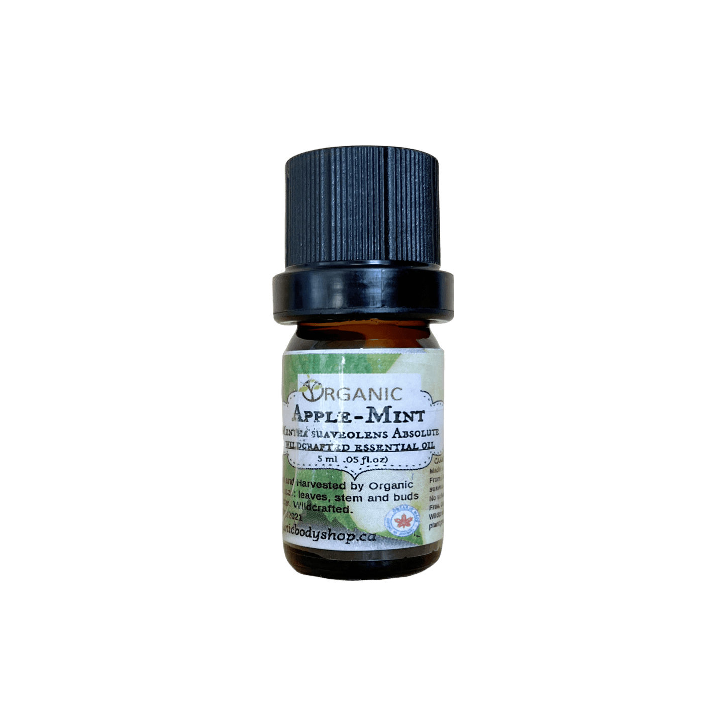 Apple Mint Essential Oil. Wild Crafted.Ontario - Organic Body Shop