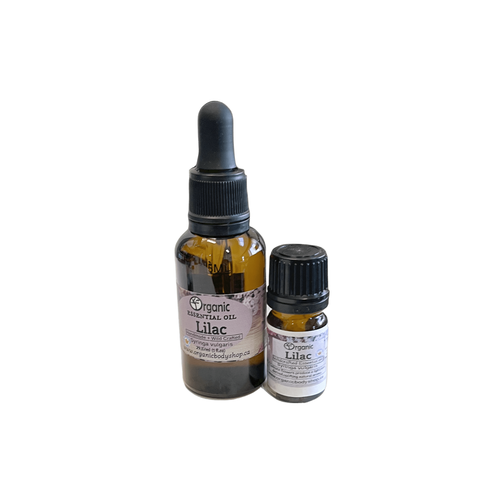 Lilac Essential Oil-Wildcrafted. Ontario 30ml – Organic Body Shop