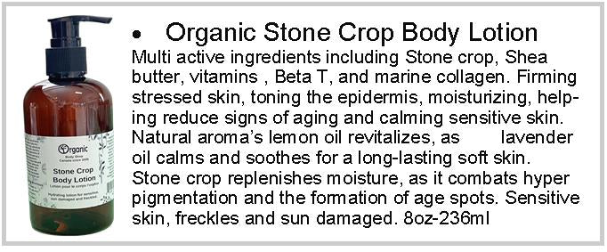 Stone Crop Body Lotion 8oz - Organic Body Shop