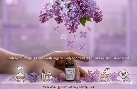 Huile essentielle de lilas – cueillie à l'état sauvage. Ontario 30 ml