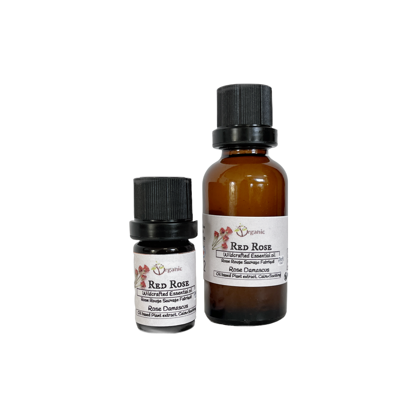 Rose White Essential Oil.Wildcrafted.Ontario 5ml