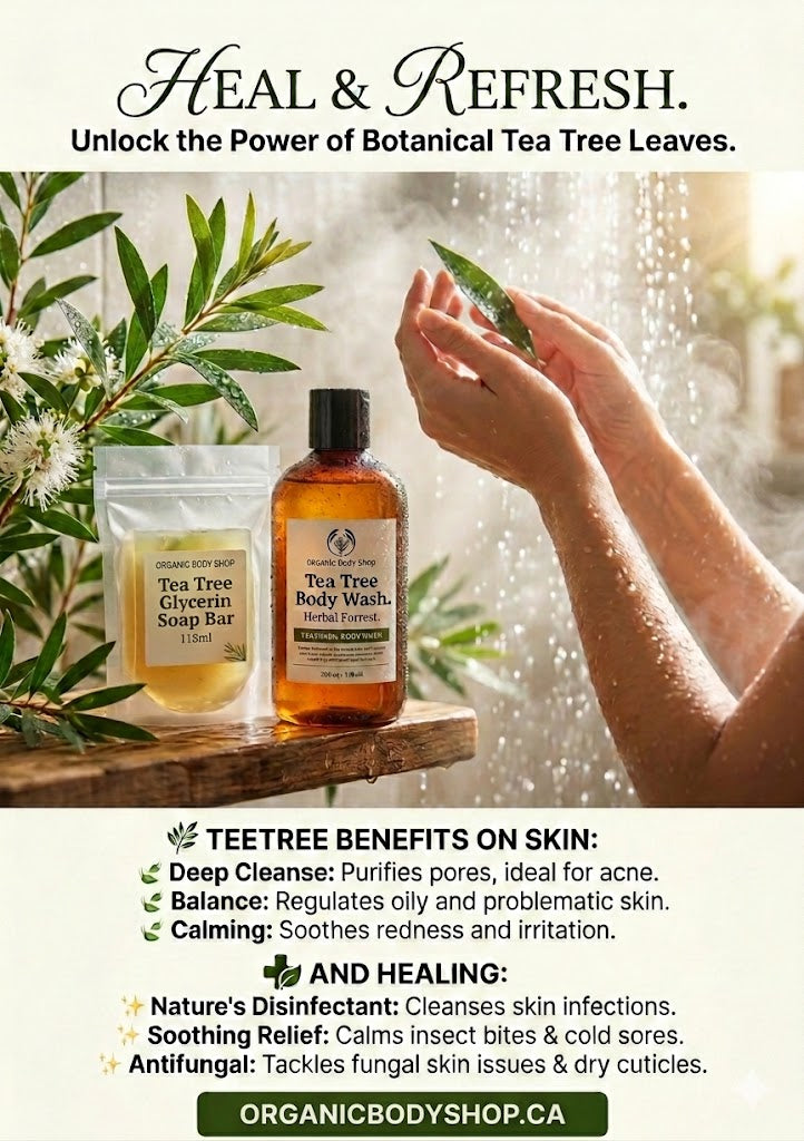 Gel de baño de árbol de té. Bosque de hierbas