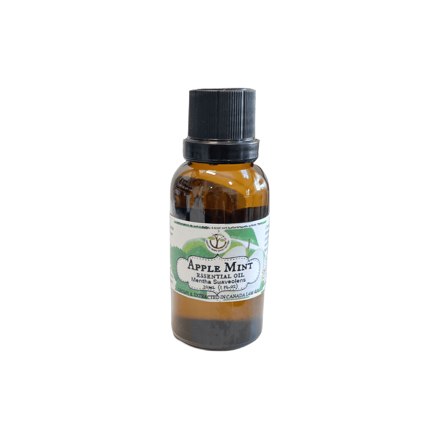 Apple Mint Essential Oil. Wildcrafted 5ml - Organic Body Shop