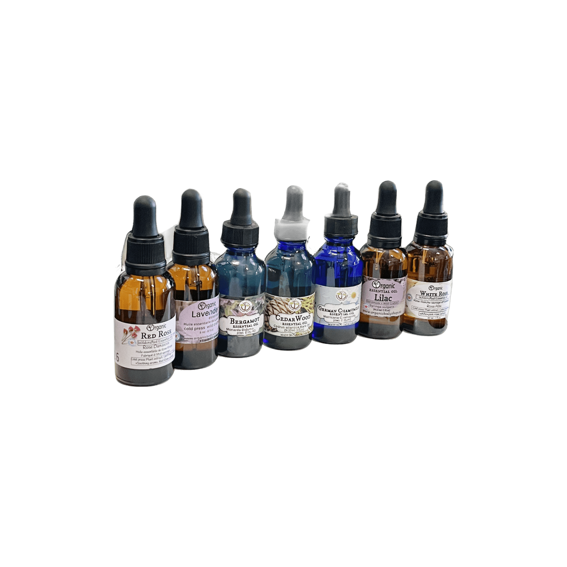 Clary Sage essential oil.Wildcrafted. 5ml - Organic Body Shop