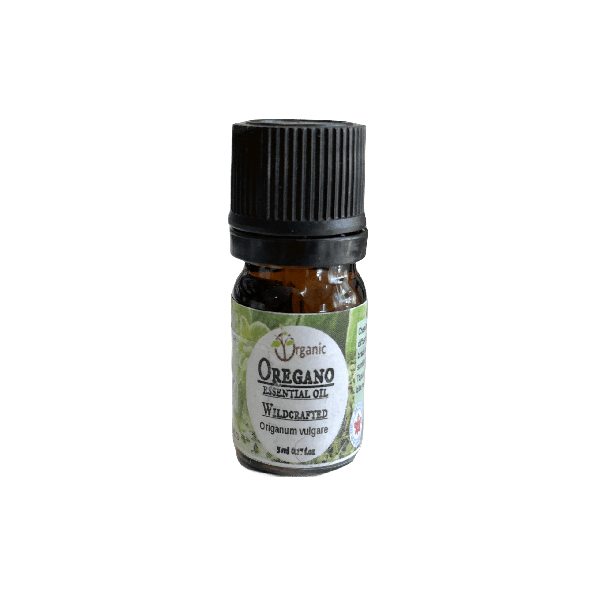Oregano Oil - Wildcrafted. Ontario - Organic Body Shop