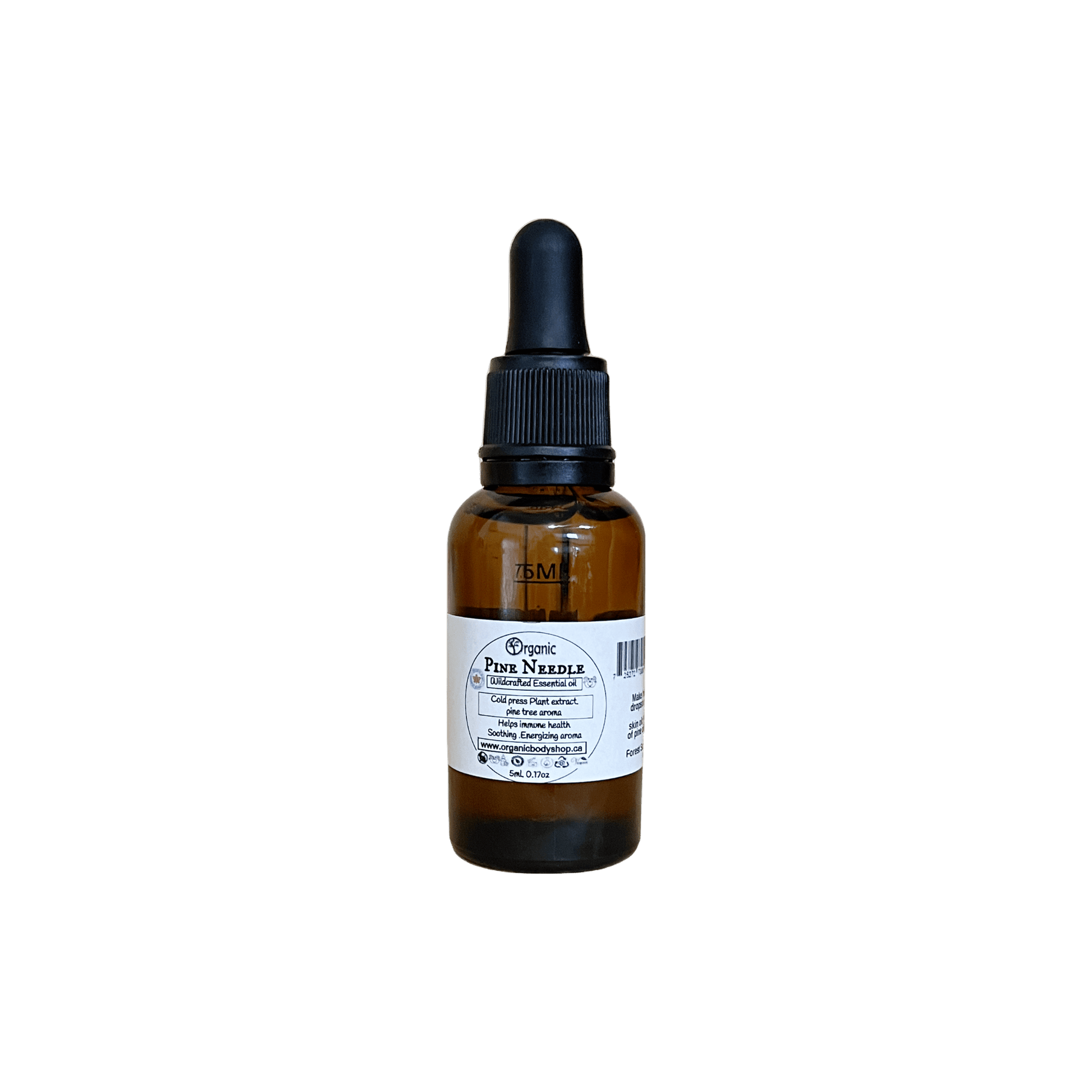 Pine Needle Essential Oil. Wildcrafted.30ml - Organic Body Shop