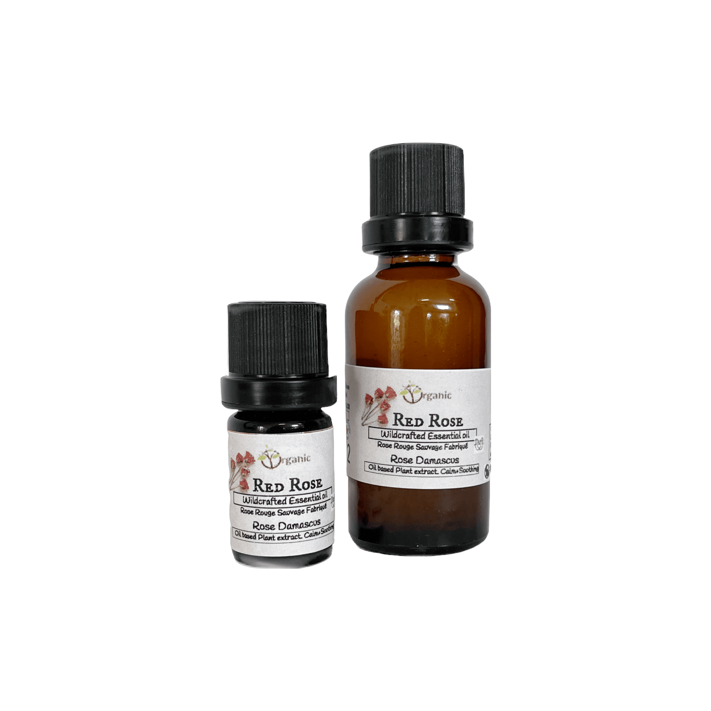 Rose Essential Oil - Wildcrafted.Ontario - Organic Body Shop