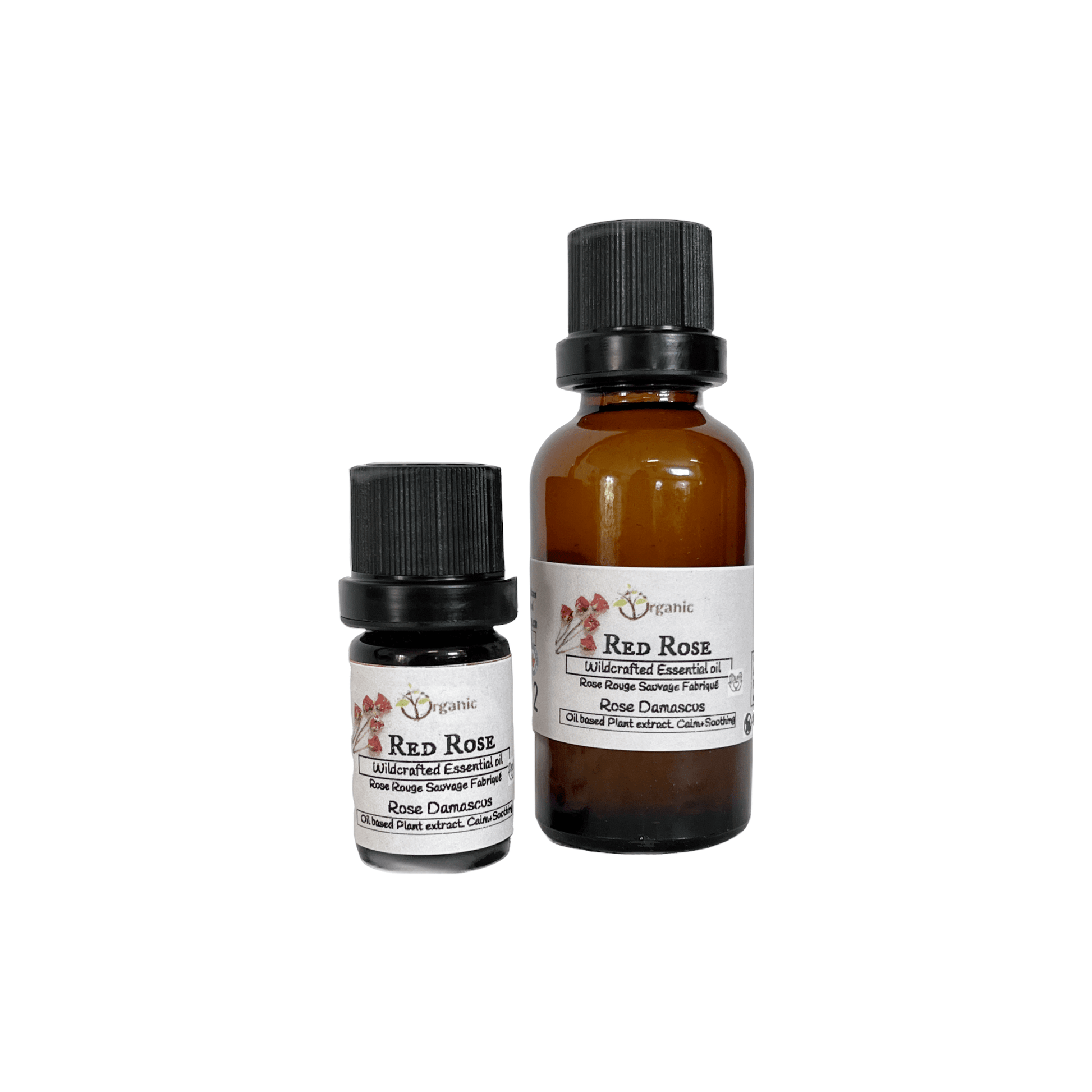 Rose Essential Oil - Wildcrafted.Ontario - Organic Body Shop